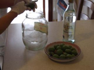 Immagine allegata alla scheda. Per averne una descrizione leggere i dettagli più in basso.